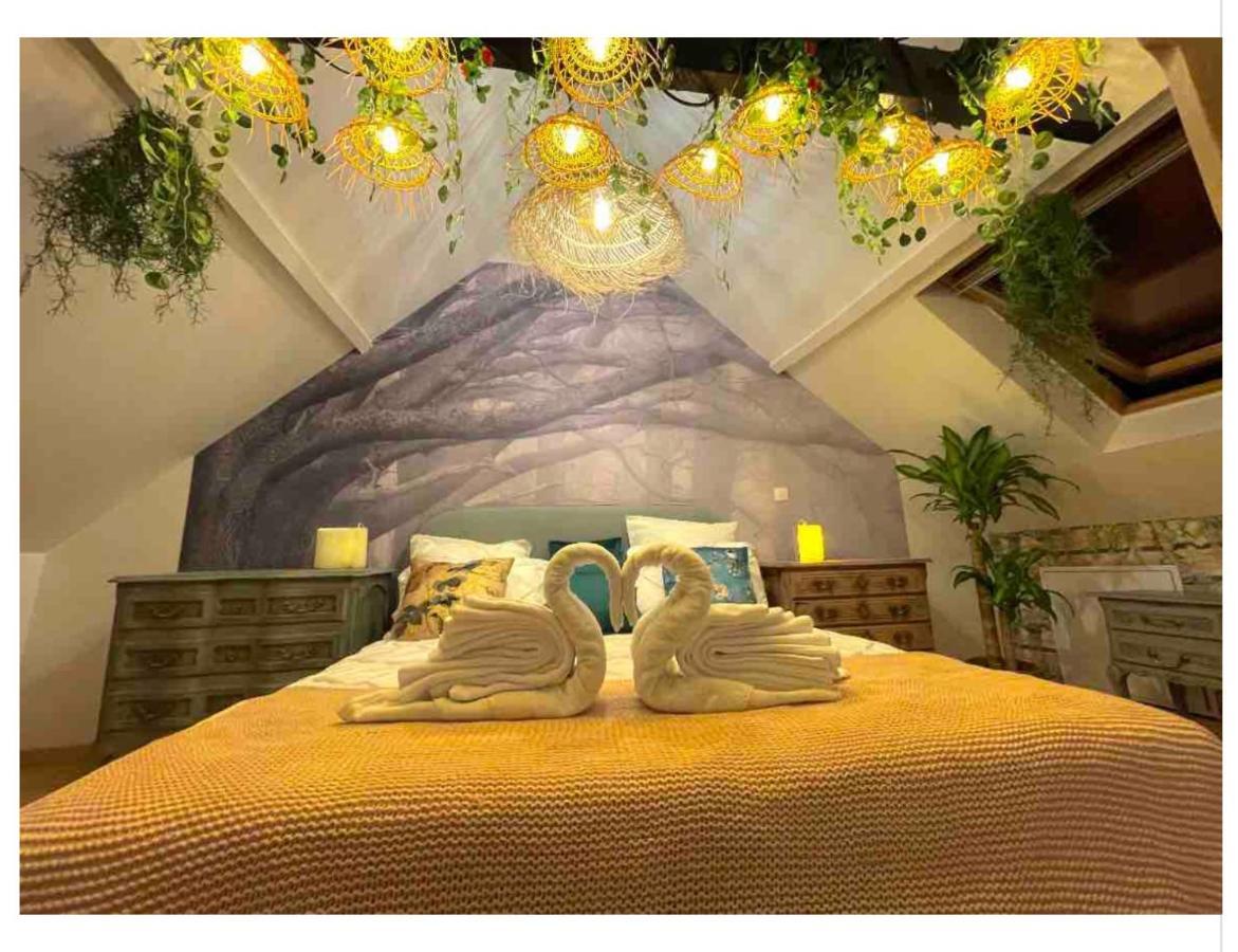 Casa Inca - Duplex Soleil Latino - Parking Free, Station Calais